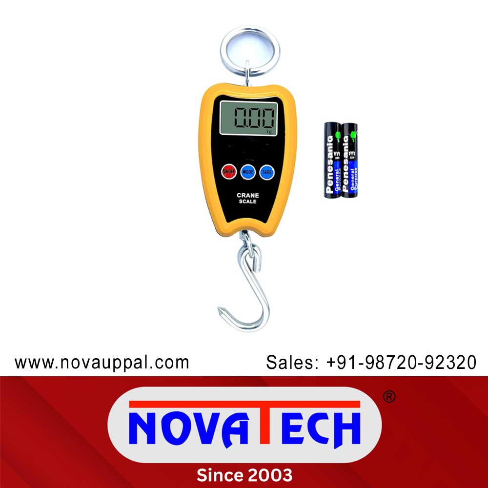 200 Kg Capacity, Mini Crane Scale manufacturers exporters in India Punjab Ludhiana